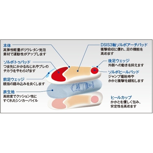 DSISソルボテニス 2L