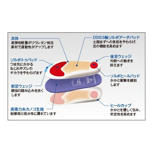 DSISソルボバレーボール M