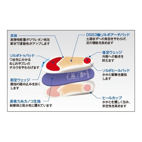 DSISソルボバレーボール L