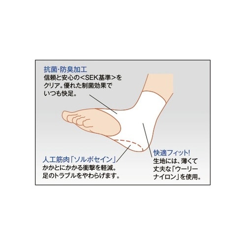 ソルボかかとくん サポーター 1足入 L