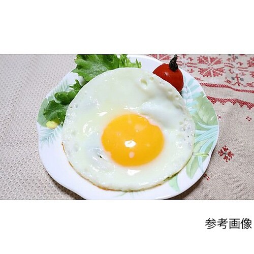 ユーロキッチン eurokitchen