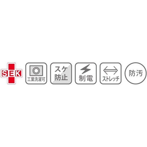 レディスチュニック 3L シャンパーニュ