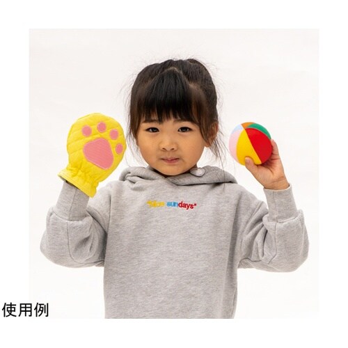 キャッツボールあそび 70035