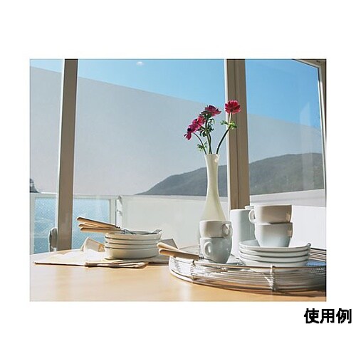 460×900mm プライバシー保護フィ