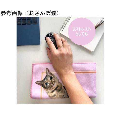 KURUMU ー中身の形に合わせて変幻自