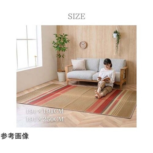 NSウェア 191×250cm ベージュ