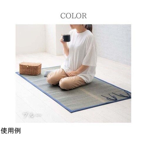 おでかけ畳シート 70×150cm ブル
