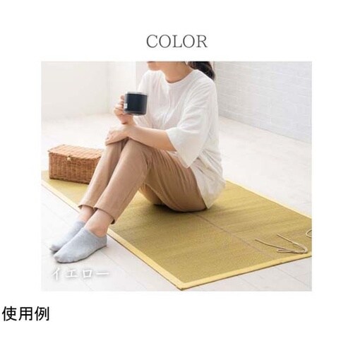 おでかけ畳シート 70×150cm ブル