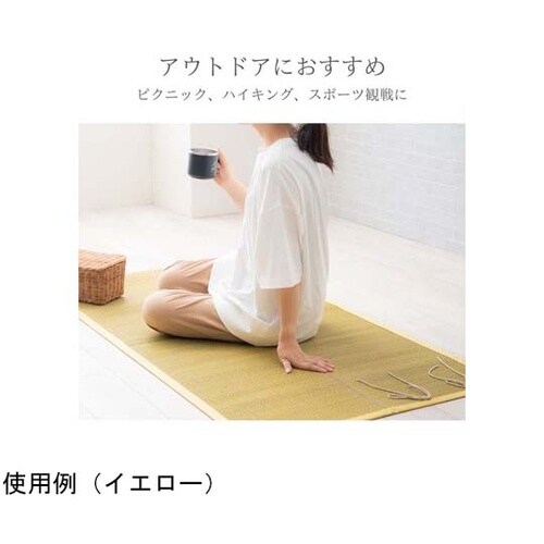 おでかけ畳シート 70×150cm イエ