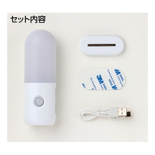 懐中電灯付防災センサーライト 35618