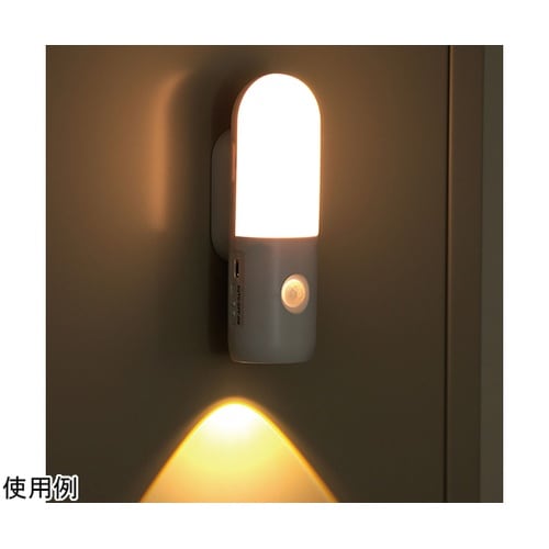 懐中電灯付防災センサーライト 35618