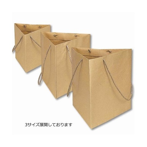006443102 紙袋 トライバッグ