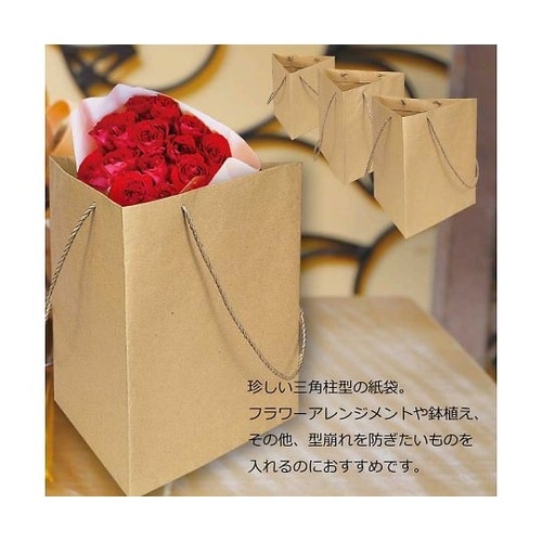 006443102 紙袋 トライバッグ