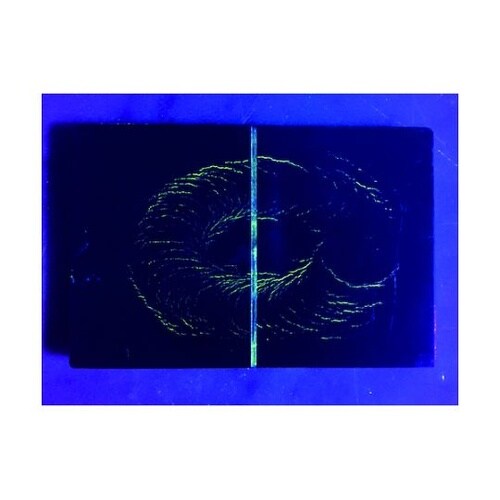 SLLED3WFLUV 紫外線ライト