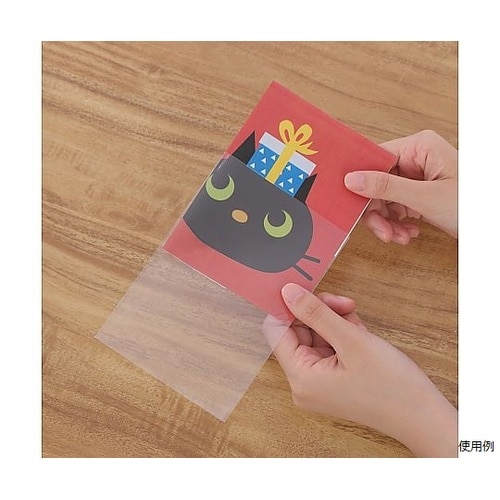 OPP袋 100×150 (シールなし)