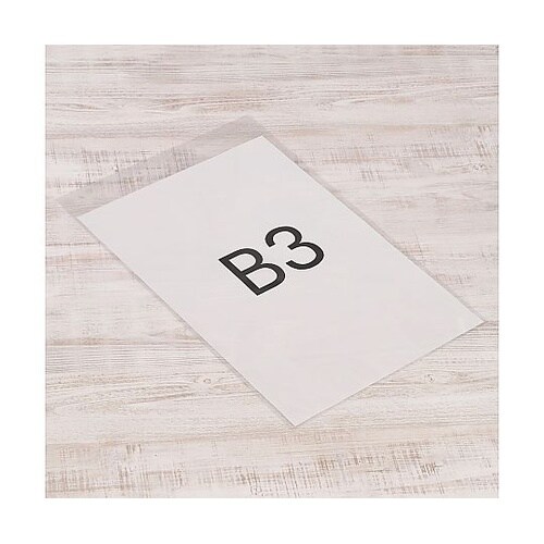 OPP袋フタ付(シール付)B3用 1ケー