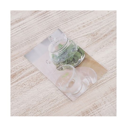 OPP袋フタ付(シール付)L判写真用 1