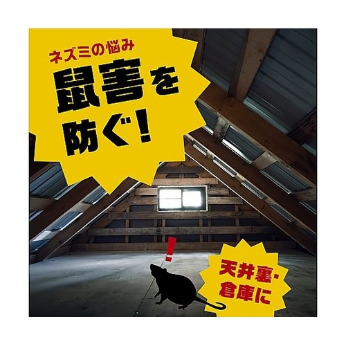 デスモアプロ ハーフ投げ込み 5G×6包