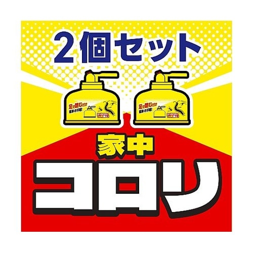 虫コロリ 霧タイプ 2P100X2
