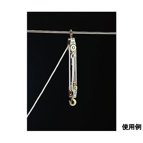 250kg/3m ロープホイスト EA9