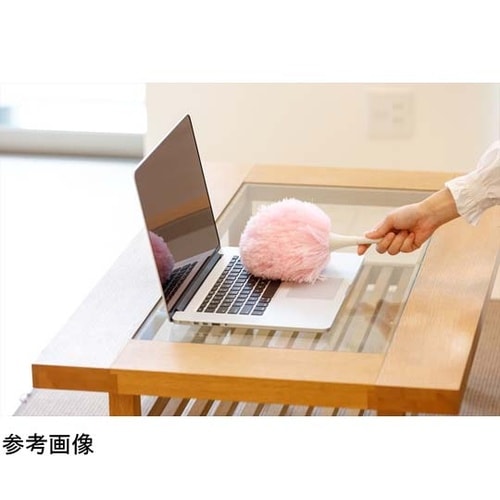 8444000001Y9P 除電払い