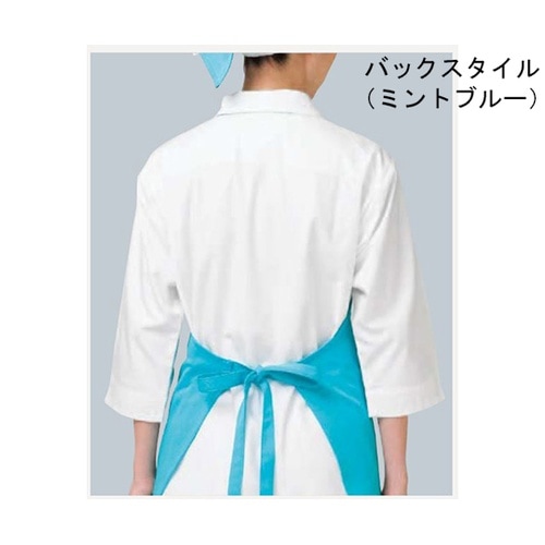 E5200−22 エプロン 首掛け