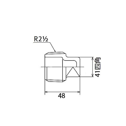 R 2・1/2” プラグ(ステンレス製)