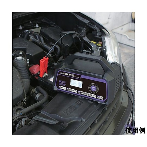 AC100V/4−176Ah 自動パルス