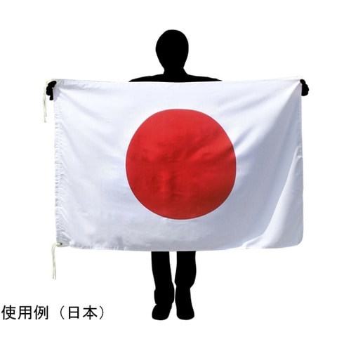 426143 国旗No.2 ウルグアイ