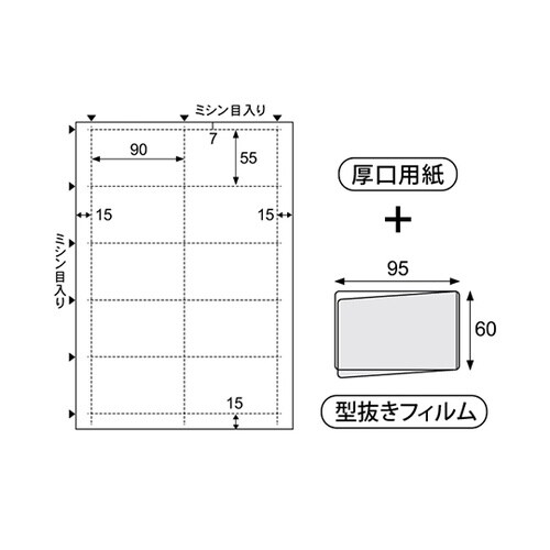 CPLP007 CPリーフ 名刺カード