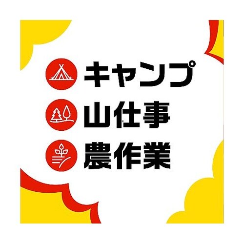 アース極太虫よけ線香 30巻箱入