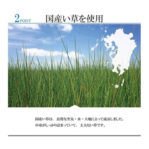 敷物花ござ小林製薬コラボKOBA−GUA