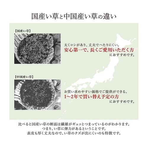 掛川織 花ござ い草 カーペット グリー