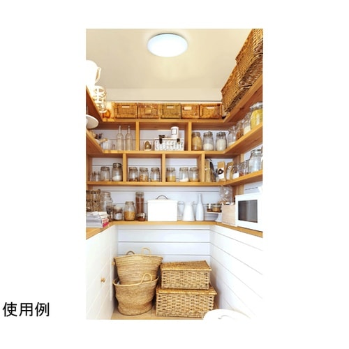 534996 中型シーリング 昼光色 白