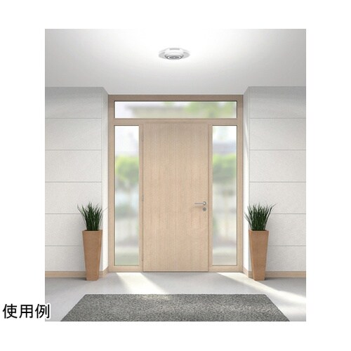 529234 小型シーリング 昼光色 白