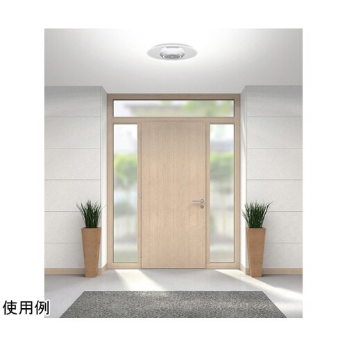 529236 小型シーリング 昼光色 白