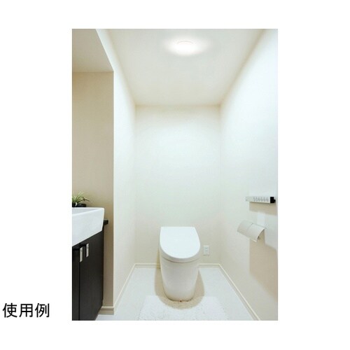 572423 小型シーリング 昼白色