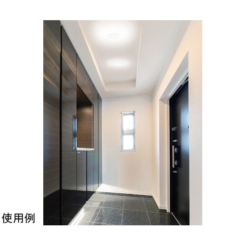 572426 小型シーリング 昼白色