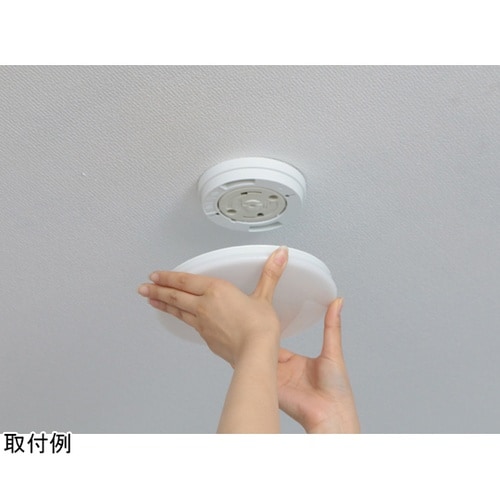 572426 小型シーリング 昼白色