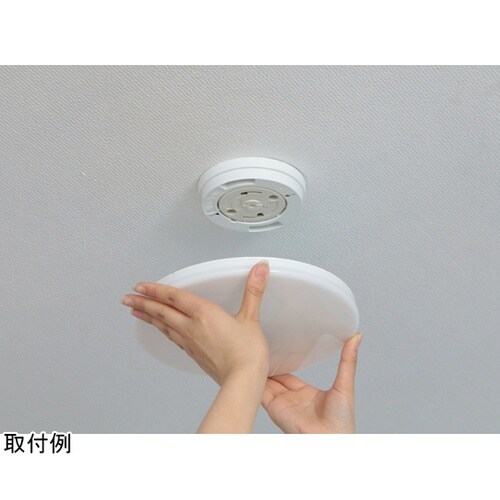 572429 小型シーリング 昼白色