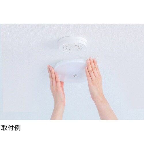 572435 小型シーリング 昼白色