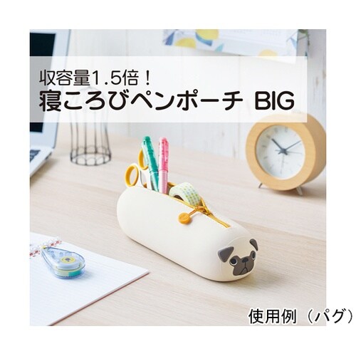 SMARTFIT PuniLabo 寝こ