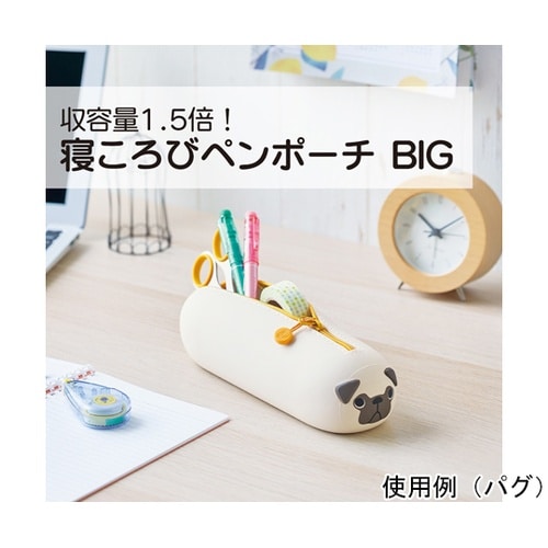 SMARTFIT PuniLabo 寝こ