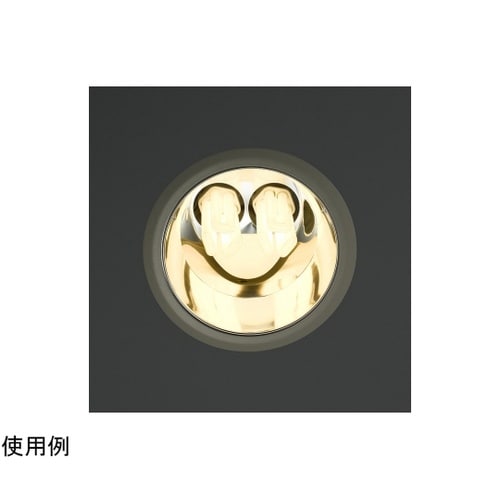 FHT42EXL 蛍光灯 42形 電球色