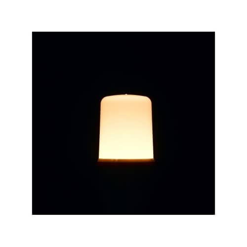 LDT5LG LED 40W形 E26