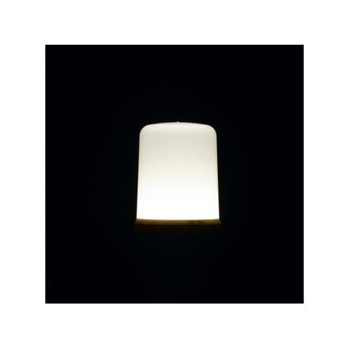 LDT5NG LED 40W形 E26