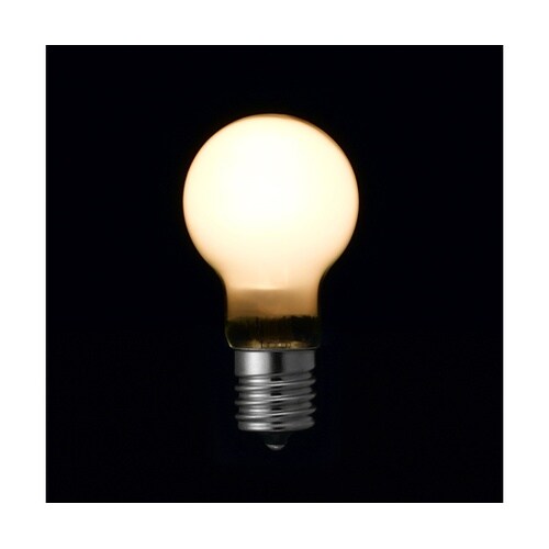 P351754FL5P LEDランプ60