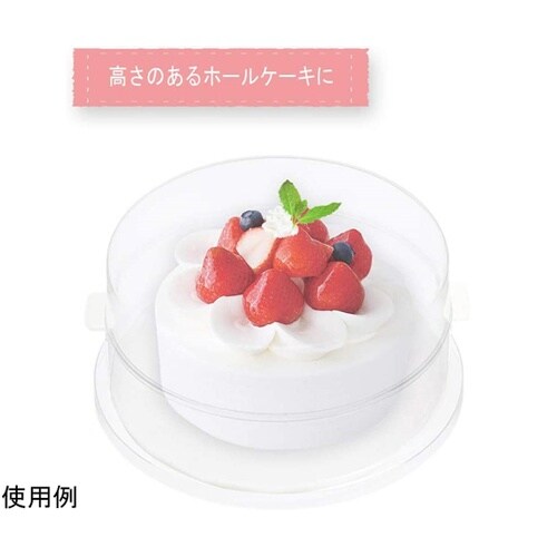 #000DL6304 ためのケーキフード