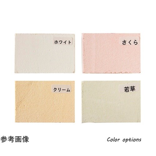 室内壁 簡単しっくい 2.8kg