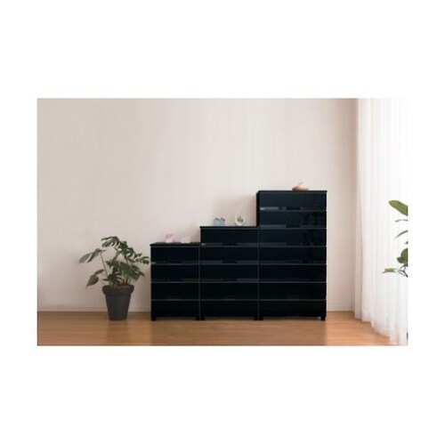 110012489 フィッツプラス